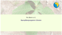 Pro Benin e.V. Baumpflanzprogramm an Schulen